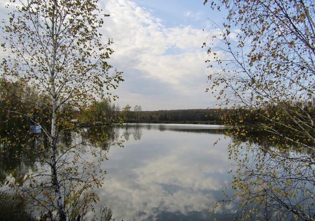 земля Тульская область, Агеево фото