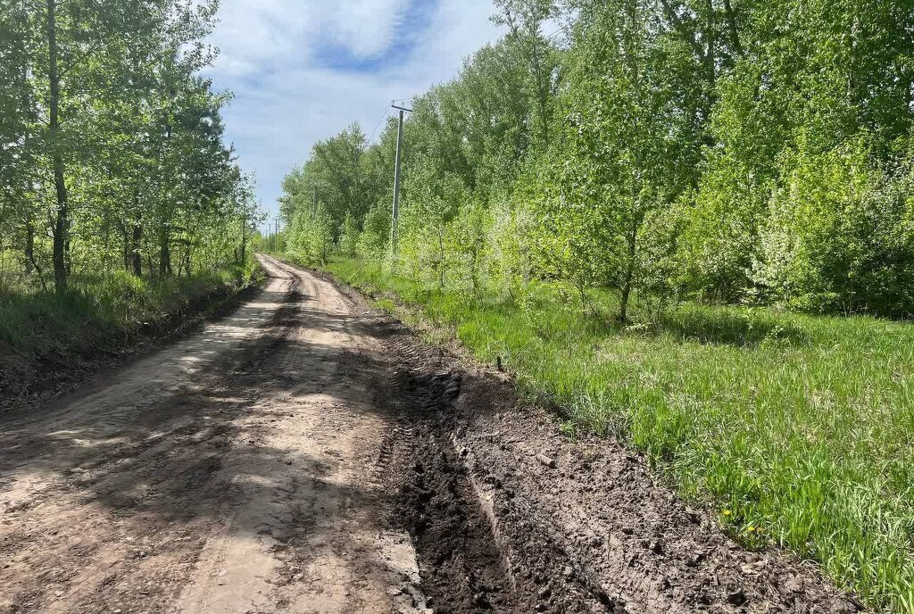 земля р-н Первомайский п Новый микрорайон Александрова слобода фото 14