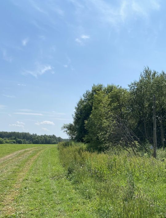 земля Пушкинский городской округ, Калистово кп фото 4