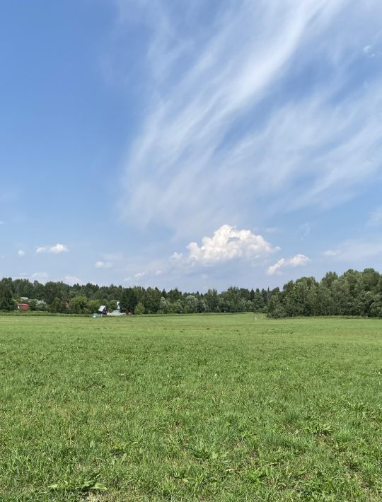 земля Пушкинский городской округ, Калистово кп фото 9