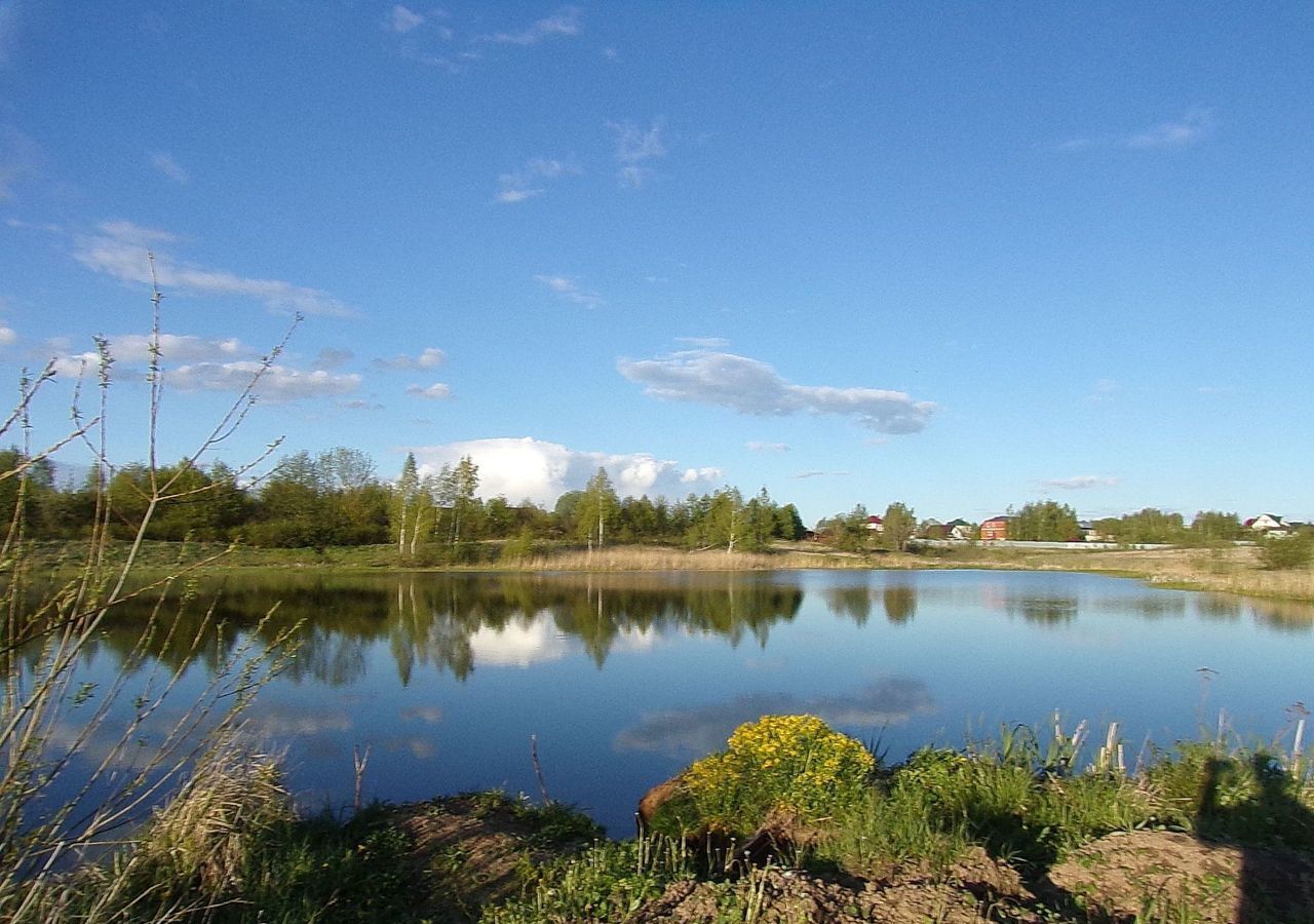 земля городской округ Ступино с Киясово Михнево фото 5