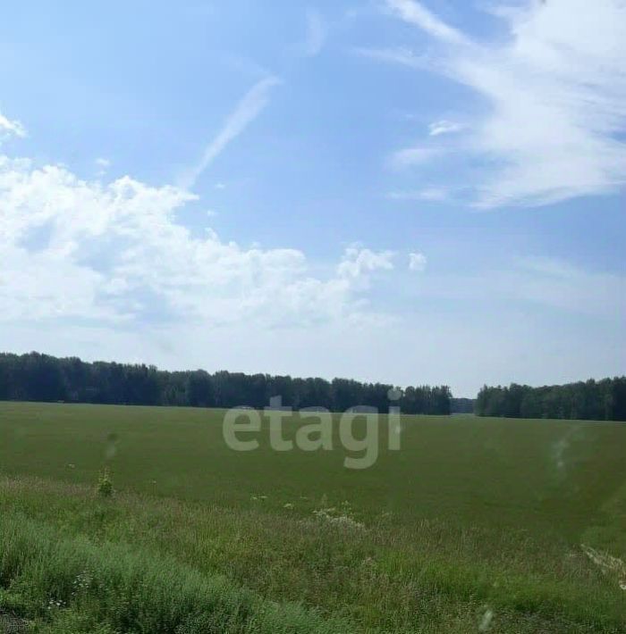 земля р-н Далматовский с Новопетропавловское фото 4