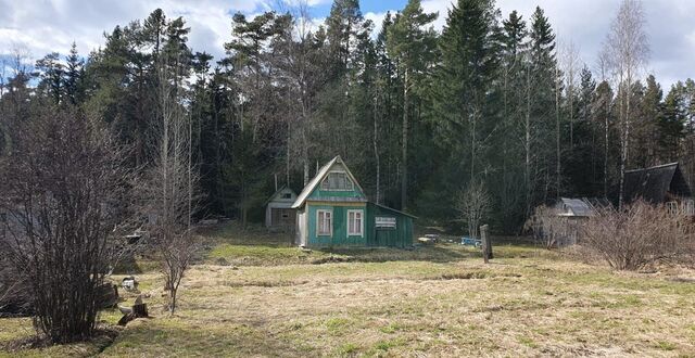 садоводческое товарищество Автодорожник фото