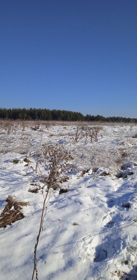 земля р-н Сухоложский с Знаменское ул Калинина 44 фото 8