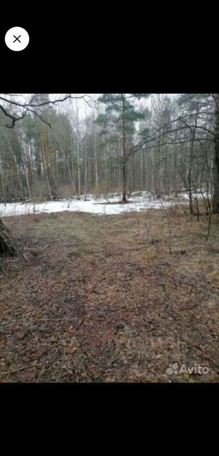 земля городской округ Богородский д Дядькино 31 км, Черноголовка, Щёлковское шоссе фото 2