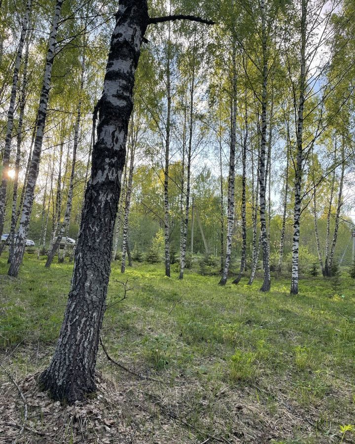 земля р-н Кардымовский д Устиновка Каменское сельское поселение, Кардымово фото 8