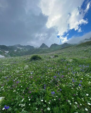 п Пхия ул Центральная Краснодарский край, Сочи фото