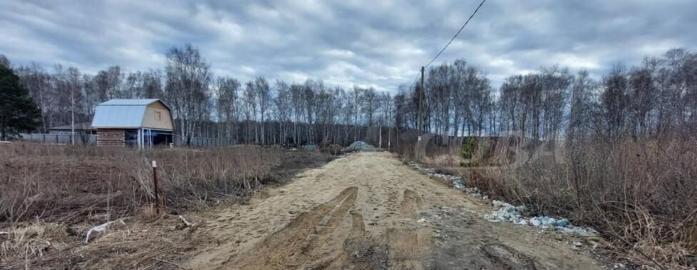 земля г Тюмень р-н Центральный общество Поляна, Пригожая ул, садовое фото 4