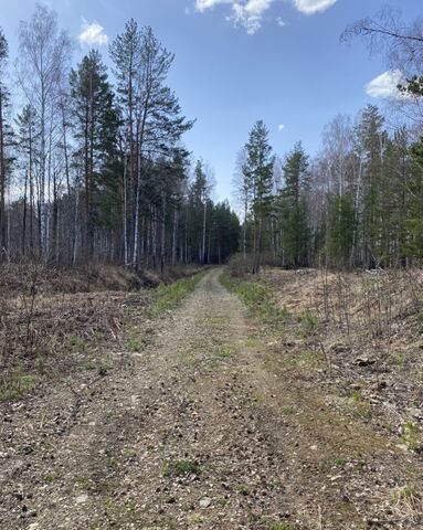 ул Радужная территория ИЖС Полянка, Верхнее Дуброво, Белоярский г. о. фото