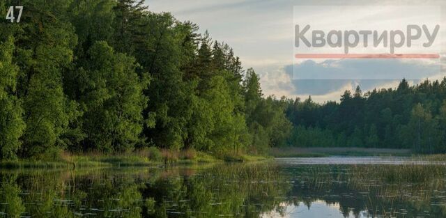 ул Кольцевая 9 Выборгское городское поселение, СНТ Большой Лог фото