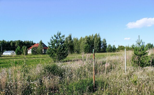 Иваньковское, Московская область, Ступино, муниципальное образование фото