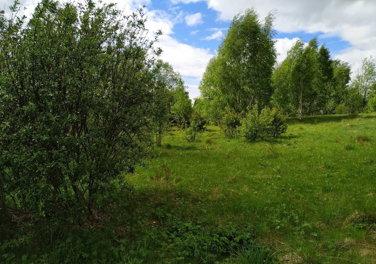 земля р-н Гдовский д Низовицы Середка, Самолвовская волость фото 1