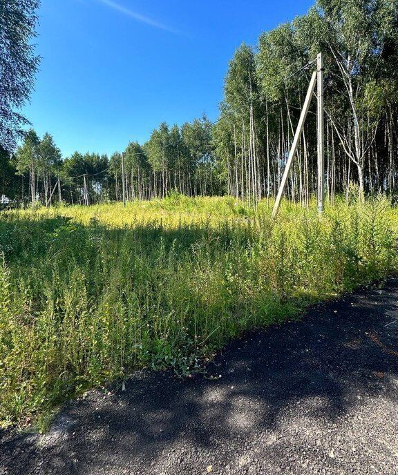 земля городской округ Дмитровский д Капорки Лобня фото 11