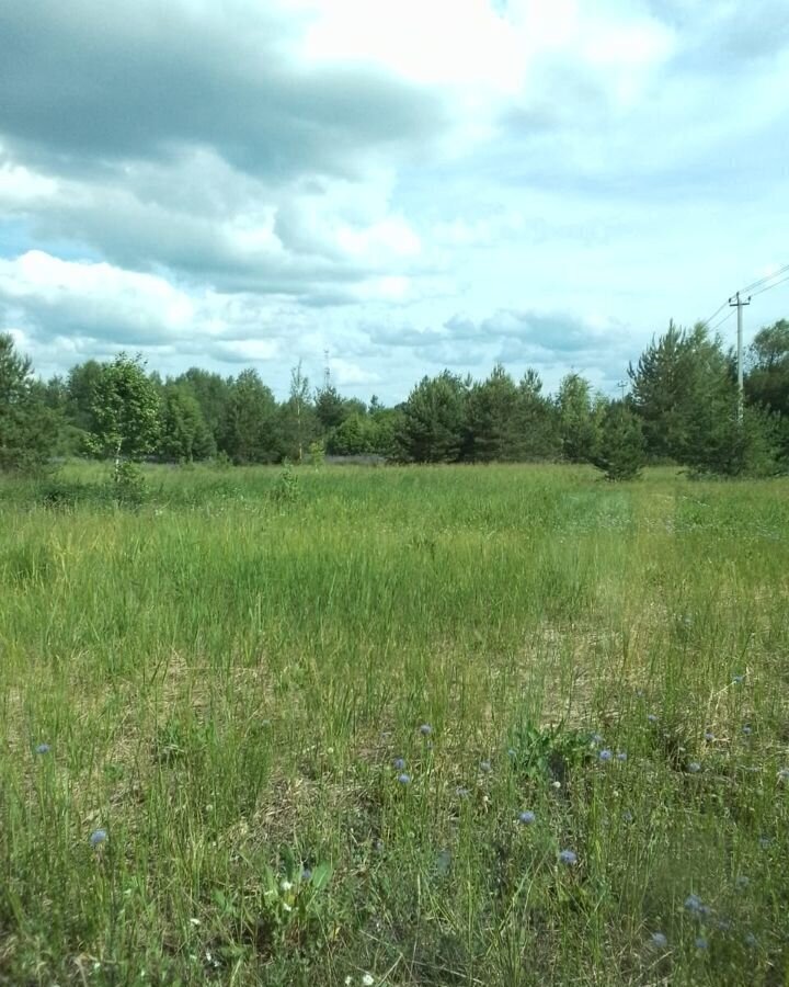 земля городской округ Орехово-Зуевский д Зворково 89 км, Авсюнино, Егорьевское шоссе фото 6