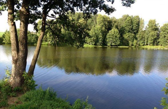 сельсовет, дачное некоммерческое партнёрство Тихая Заводь, Новосибирск фото