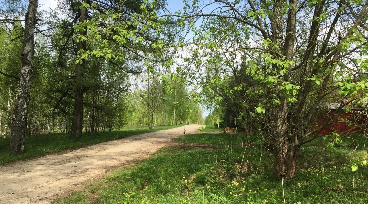 земля р-н Бабынинский д Альшаны Село Бабынино с/пос фото 12