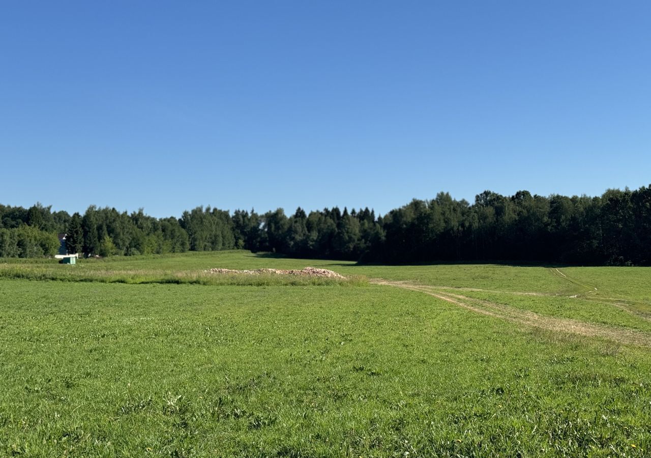 земля городской округ Пушкинский п Ашукино 48, садовое товарищество Маяк-1 фото 6