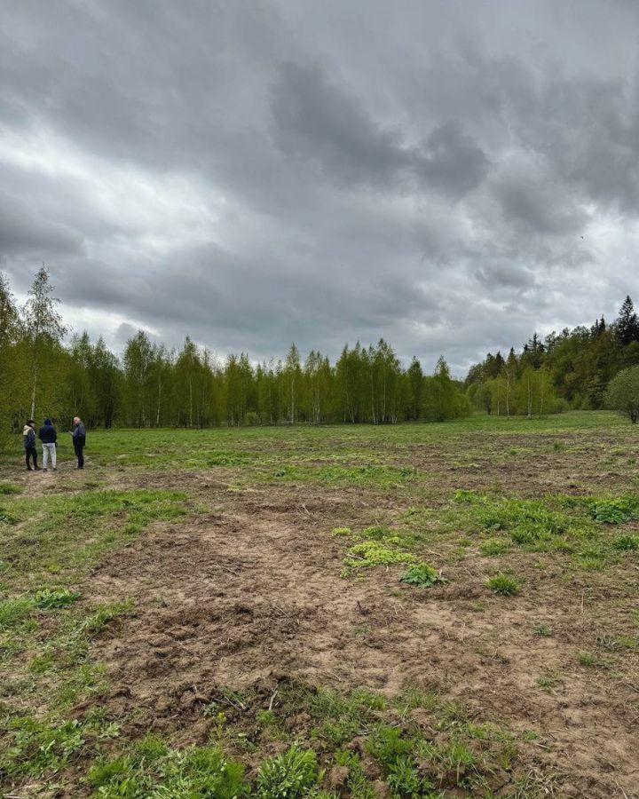 земля городской округ Дмитровский д Дмитровка 9754 км, Менделеево, Рогачёвское шоссе фото 19