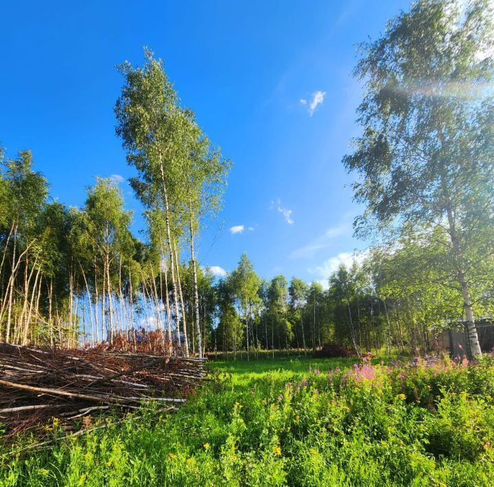 земля г Солнечногорск Голубково кв-л, 25 фото 14