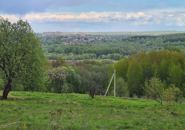 46 км, д. Елизаветино, Дмитровское шоссе фото