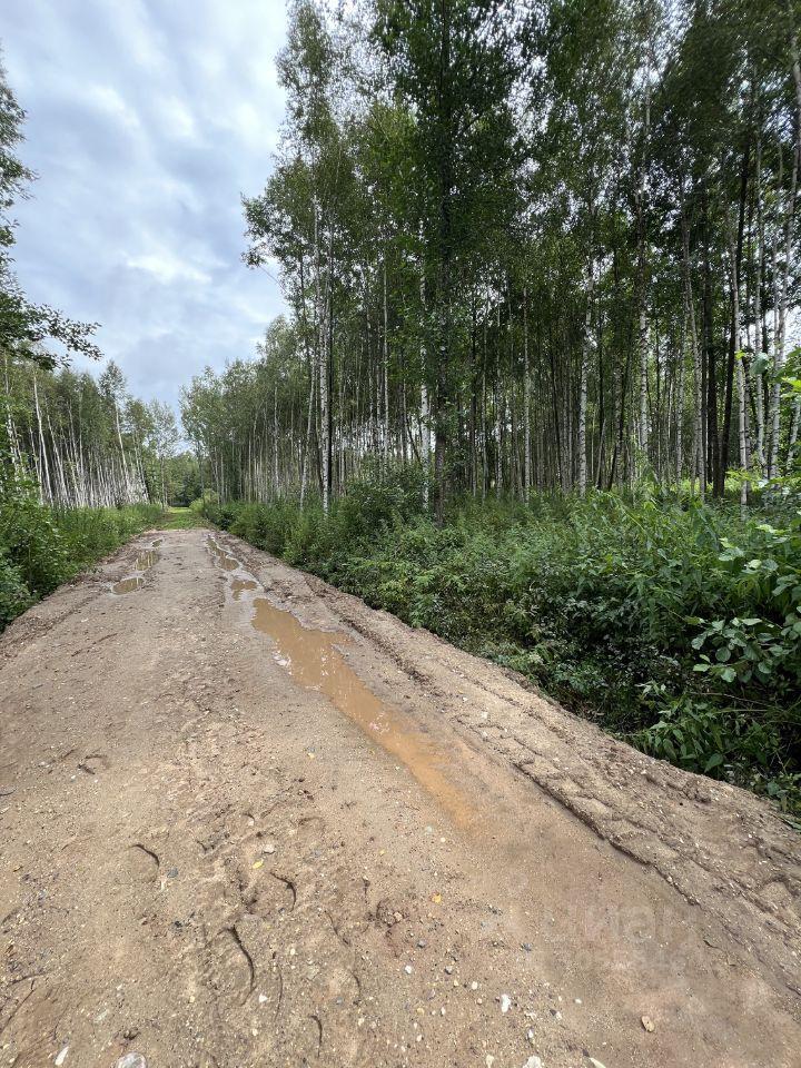 земля городской округ Талдомский п Вербилки Бурцево, 36 фото 3