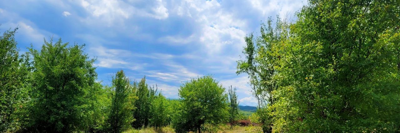 земля р-н Северский пгт Ильский ул Лесная Ильское городское поселение фото 17