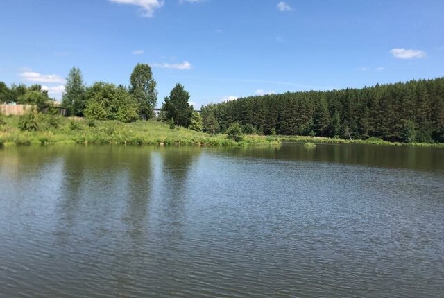 ул Приречная коллективный сад Мостовик фото