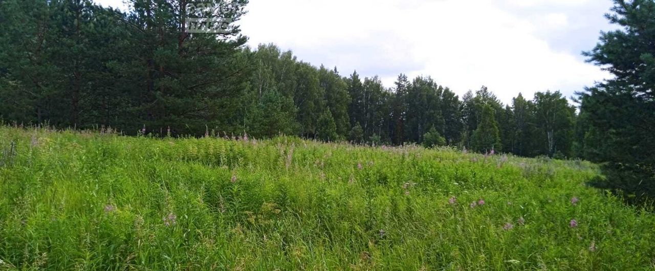 земля р-н Пригородный п Горноуральский Петрокаменское фото 2