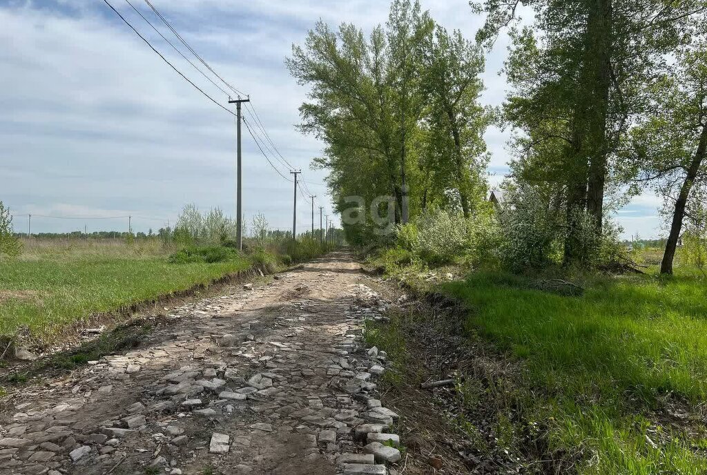 земля р-н Первомайский п Новый ул Берёзовская фото 15