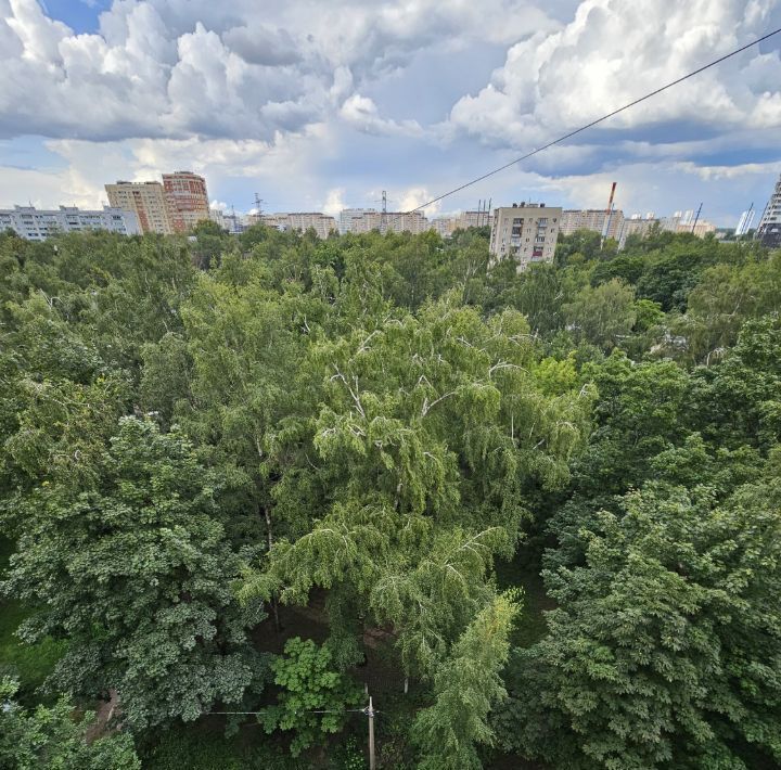 квартира г Москва метро Лухмановская ул Льва Толстого 13 Московская область, Люберцы фото 17