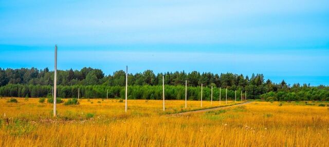 д Еглизи Тосненское городское поселение фото