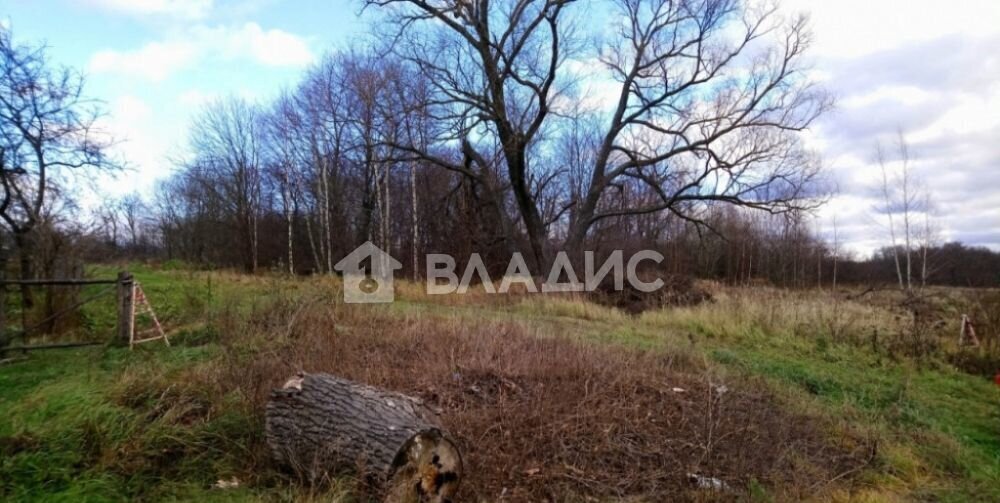 земля р-н Собинский с Кишлеево муниципальное образование Толпуховское, Ставрово фото 5