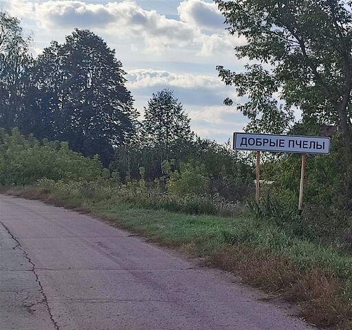 с Добрые Пчелы ул Центральная Добро-Пчёльское сельское поселение, Захарово фото