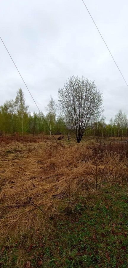 земля р-н Богородский с Каменки сад Лисьи Ямки-2 Буревестник фото 4