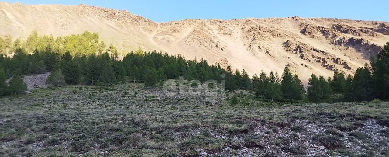 земля р-н Кош-Агачский с Теленгит-Сортогой Кош-Агач фото 2