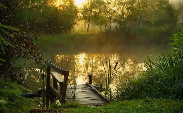 Жуковский фото