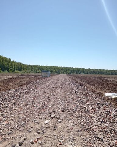 д Коченягино Троицкое фото