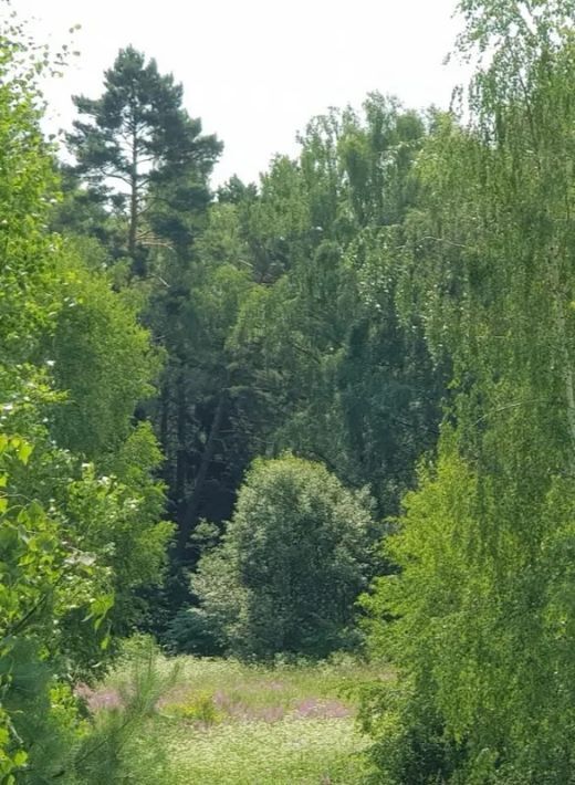 дом городской округ Ступино д Кубасово ул. Лесная, 1 фото 2