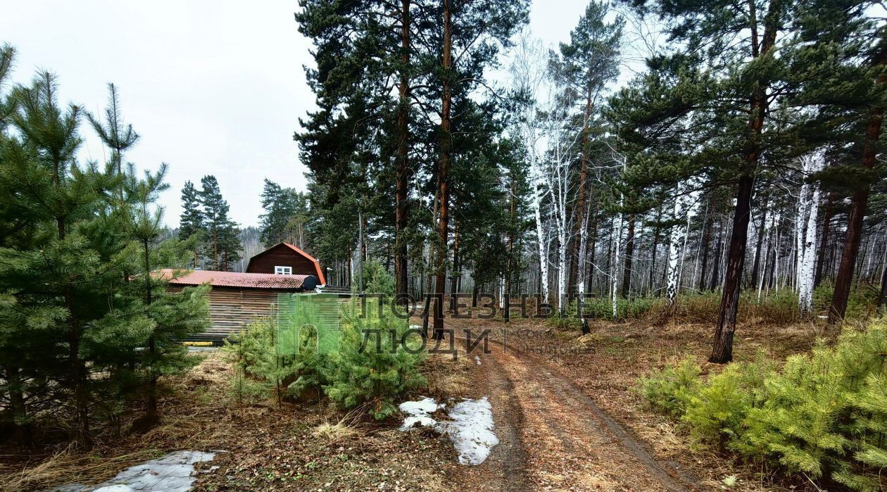 земля Ангарский городской округ, Родник СНТ фото 11