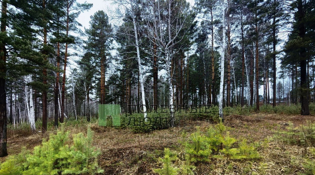 земля Ангарский городской округ, Родник СНТ фото 12