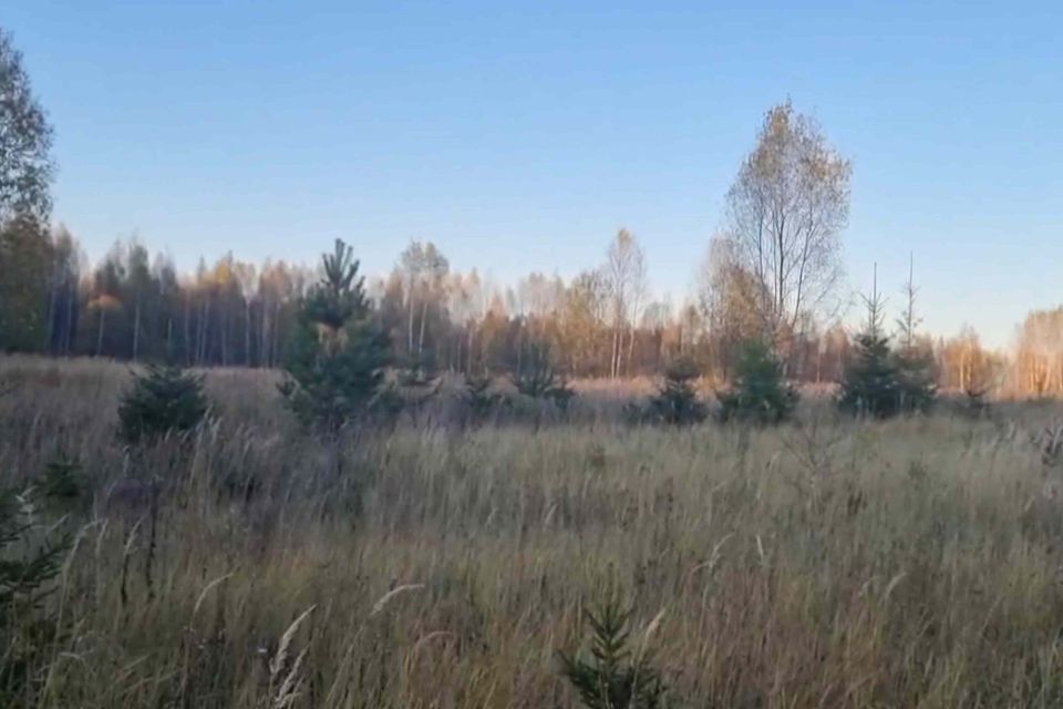 земля городской округ Сергиево-Посадский фото 6