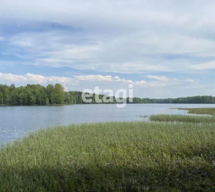 земля р-н Лодейнопольский фото 6