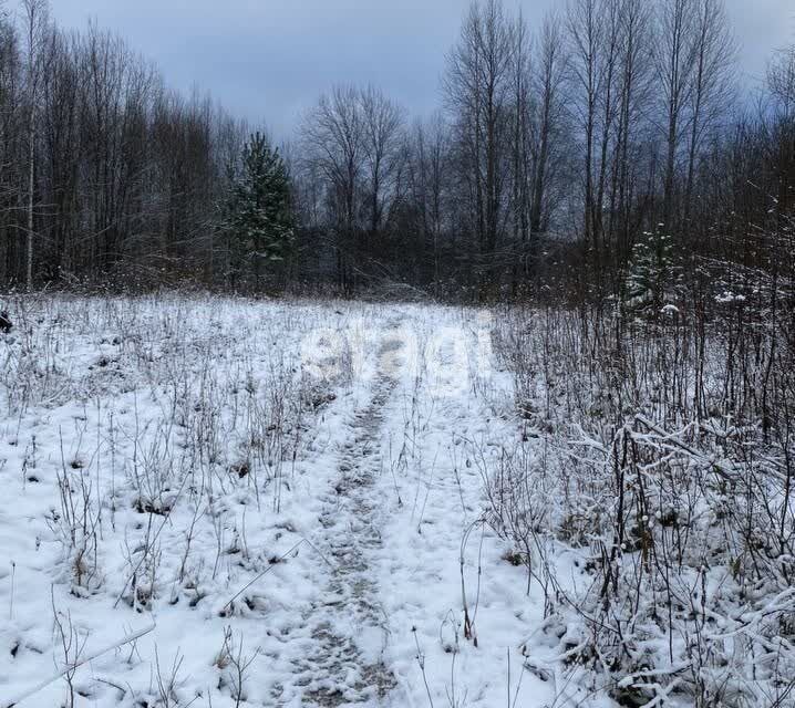 земля р-н Лодейнопольский фото 10