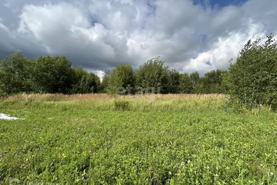 земля городской округ Воскресенск ДТСН Малинки фото 7