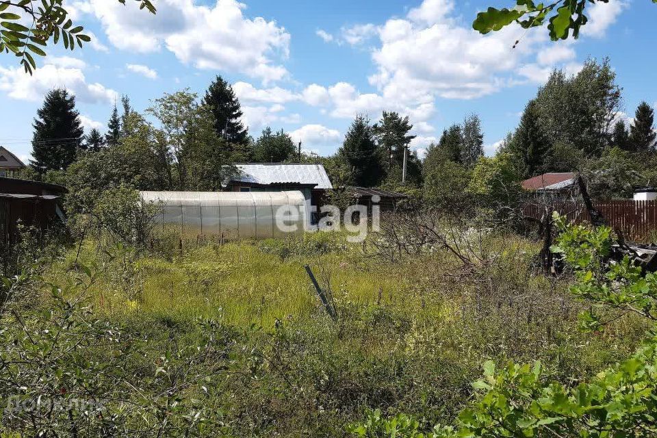 земля р-н Тосненский деревня Трубников Бор фото 8