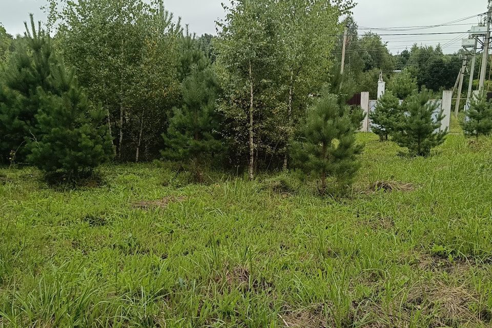 земля городской округ Чехов Наш дом Большое Петровское фото 9