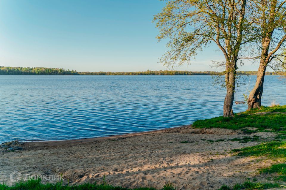 земля р-н Приозерский фото 6