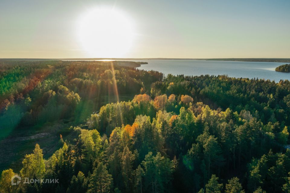 земля р-н Приозерский фото 7