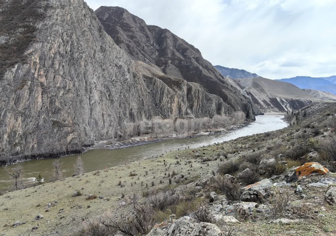 земля р-н Онгудайский с Иня Онгудай фото 1