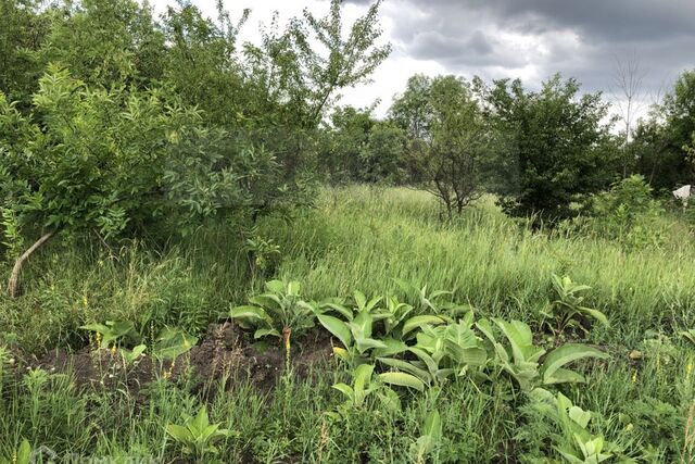 ул Новая городской округ Майкоп фото